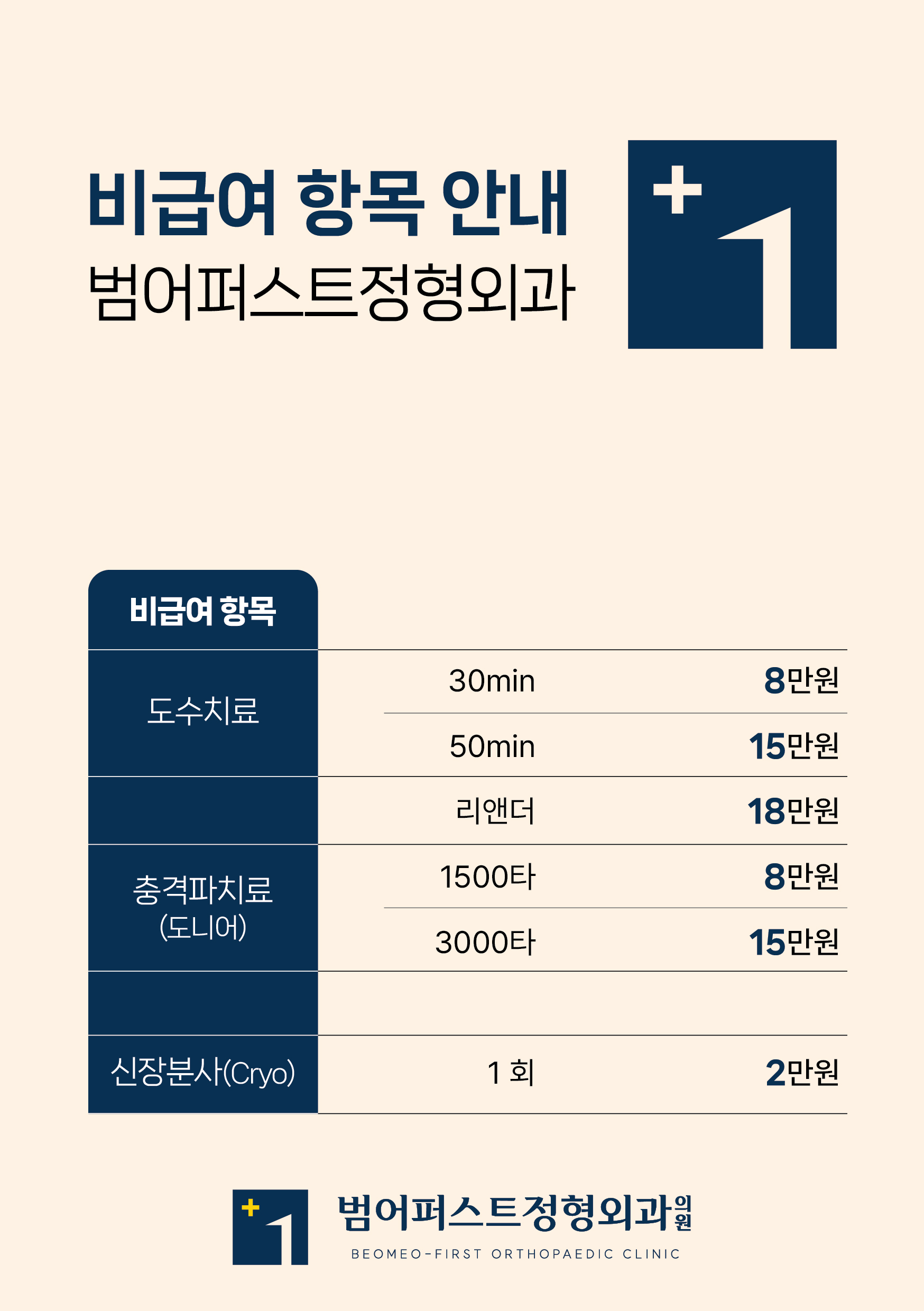 비급여항목 이미지1